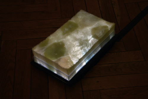 Feng Li - Sans titre, 2013 - fibre optique, plexiglas, écran plat, dimensions variables - Agrandir l'image, .JPG 21Mo (fenêtre modale)