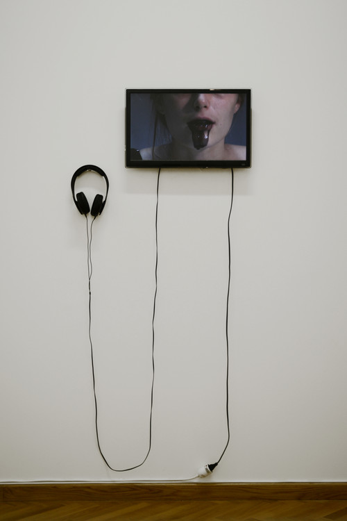 Lucie Béguin - Sans titre (détail), 2011-2013 - Agrandir l'image, .JPG 11.1Mo (fenêtre modale)