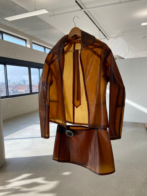 Agrandir l'image, .JPG 1.1Mo (fenêtre modale)