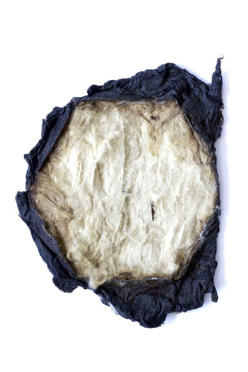 Les Curiosités, techniques mixtes, dimensions variables, 2016 - Agrandir l'image, .JPG 59Ko (fenêtre modale)