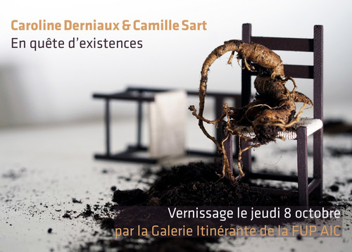 Agrandir l'image, .JPG 1.2Mo (fenêtre modale)