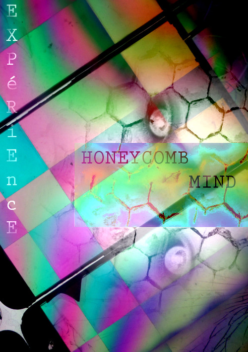 honeycombmind 2019 - Agrandir l'image, .JPG 634Ko (fenêtre modale)