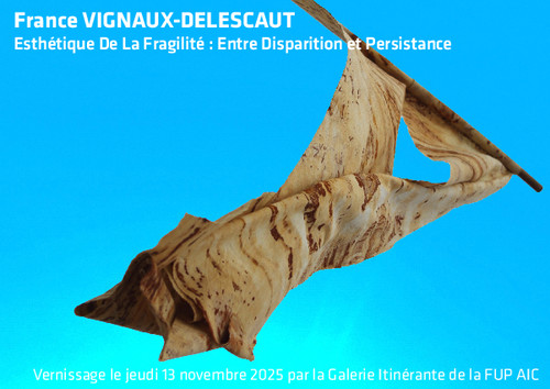 Agrandir l'image, .PDF 780Ko (fenêtre modale)