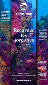 REGARDER LES GORGONES 